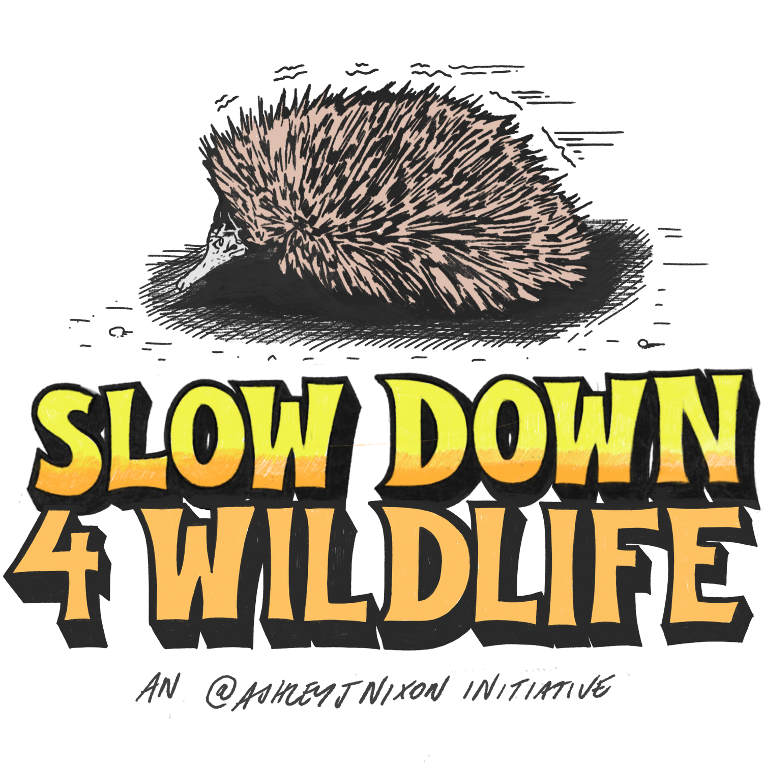 Slow Down 4 Wildlife