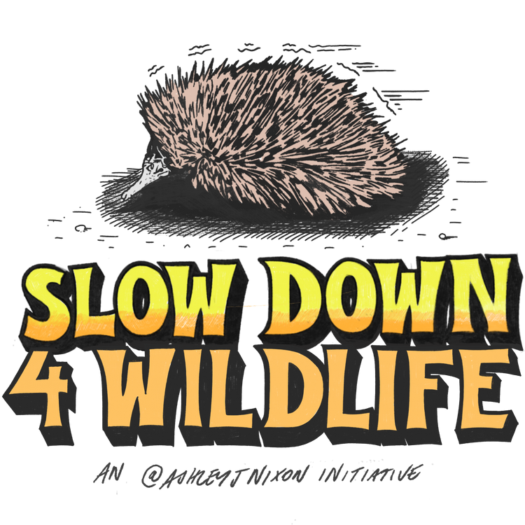 Slow Down 4 Wildlife