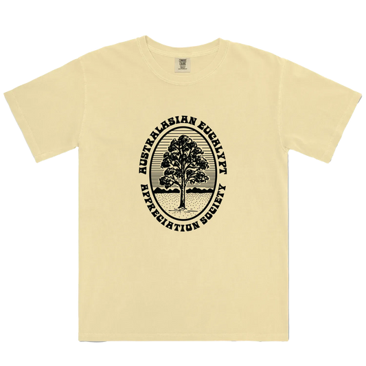 Butter front flat lay