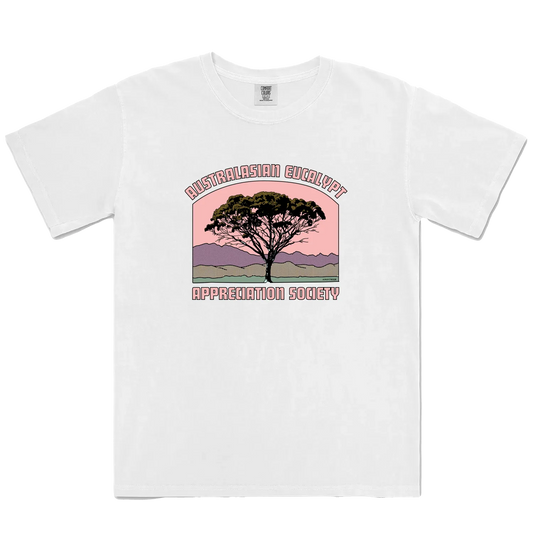 White front flat lay