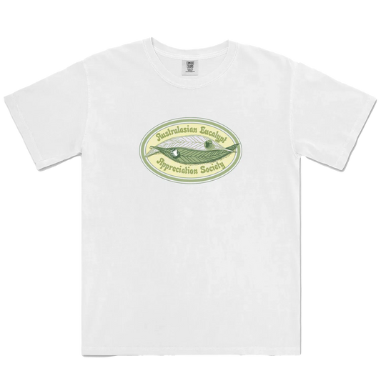 White front flat lay